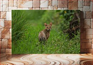 Πίνακας, Cat in the Wild Γάτα στην άγρια ​​φύση