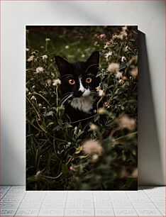 Πίνακας, Cat in the Wild Γάτα στην άγρια ​​φύση