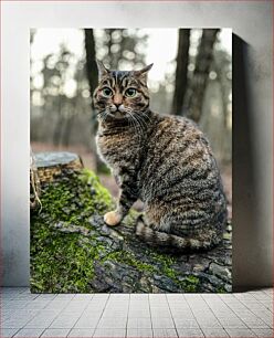 Πίνακας, Cat in the Woods Γάτα στο δάσος