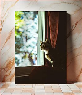 Πίνακας, Cat Looking Out Window Γάτα που κοιτάζει έξω από το παράθυρο