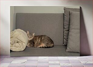 Πίνακας, Cat on a Couch Γάτα σε καναπέ