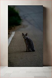 Πίνακας, Cat on a Road Γάτα σε δρόμο