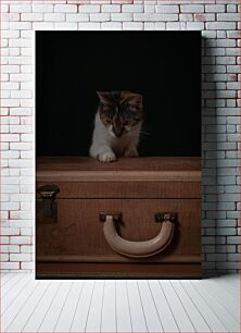 Πίνακας, Cat on a Vintage Suitcase Γάτα σε vintage βαλίτσα