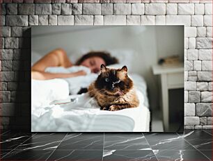 Πίνακας, Cat on Bed Γάτα στο κρεβάτι