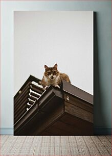 Πίνακας, Cat on the Roof Γάτα στη στέγη