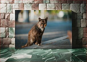 Πίνακας, Cat on the Street Γάτα στο δρόμο