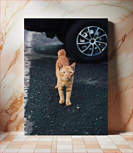 Πίνακας, Cat on the Street Γάτα στο δρόμο