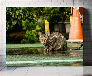 Πίνακας, Cat on Wet Ground Γάτα σε υγρό έδαφος