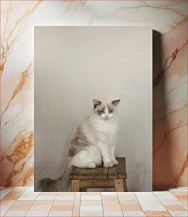 Πίνακας, Cat on Wooden Stool Γάτα σε ξύλινο σκαμπό