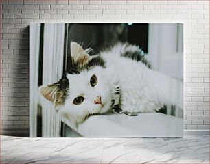 Πίνακας, Cat Relaxing by the Window Γάτα που χαλαρώνει δίπλα στο παράθυρο