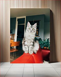 Πίνακας, Cat Sitting Indoors Γάτα που κάθεται σε εσωτερικούς χώρους