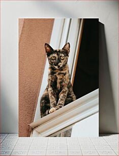 Πίνακας, Cat Sitting on Windowsill Γάτα που κάθεται στο Windowsill