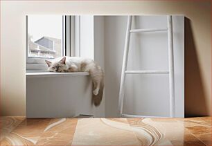 Πίνακας, Cat Sleeping on a Windowsill Γάτα που κοιμάται σε ένα περβάζι