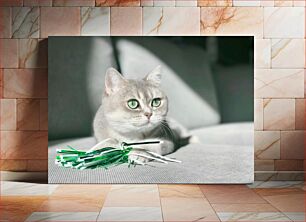Πίνακας, Cat with Green Eyes Γάτα με πράσινα μάτια
