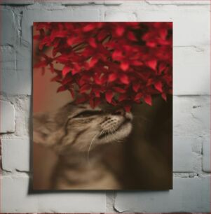 Πίνακας, Cat with Red Flowers Γάτα με κόκκινα λουλούδια