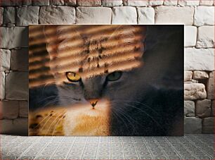 Πίνακας, Cat with Window Blinds Shadows Γάτα με στόρια παραθύρων Σκιές