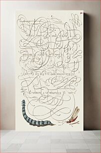 Πίνακας, Caterpillar and Insect from Mira Calligraphiae Monumenta or The Model Book of Calligraphy (1561–1596) by Georg Bocskay and Joris Hoefnagel