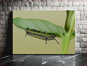 Πίνακας, Caterpillar on Leaf Caterpillar on Leaf