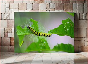 Πίνακας, Caterpillar on Leaf Caterpillar on Leaf