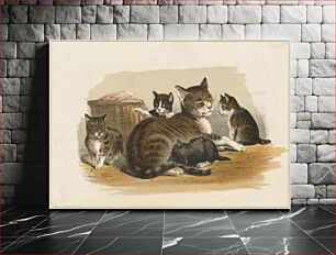 Πίνακας, Cats and kittens