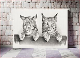 Πίνακας, Cats by Thomas Hunter