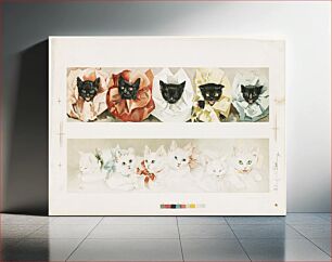 Πίνακας, Cats