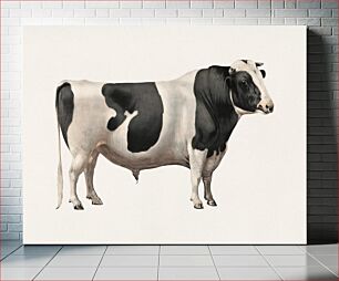 Πίνακας, Cattle, aesthetic print
