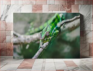 Πίνακας, Chameleon on a Branch Χαμαιλέοντας σε ένα κλαδί