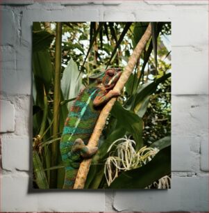 Πίνακας, Chameleon on a Tree Χαμαιλέοντας σε ένα δέντρο