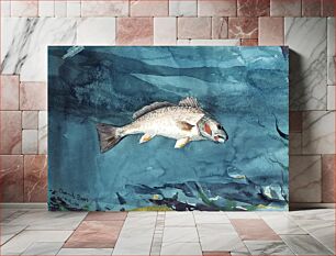 Πίνακας, Channel Bass (1904) by Winslow Homer