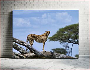 Πίνακας, Cheetah on a Tree Trunk Τσίτα σε κορμό δέντρου