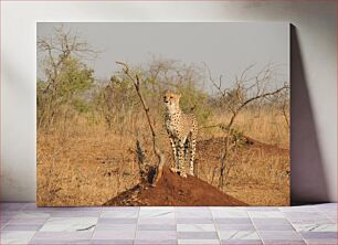 Πίνακας, Cheetah Standing on Mound in the Wild Τσίτα που στέκεται στο ανάχωμα στην άγρια ​​φύση