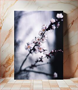 Πίνακας, Cherry Blossom Branch Κλάδος Cherry Blossom