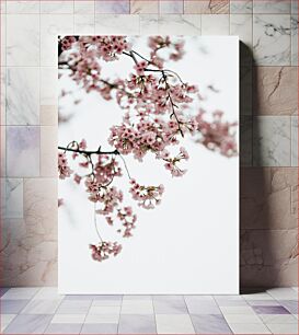 Πίνακας, Cherry Blossom Branches Κλαδιά κερασιών