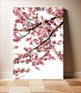 Πίνακας, Cherry Blossom Branches Κλαδιά Cherry Blossom