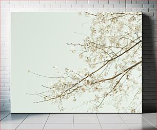 Πίνακας, Cherry Blossom Branches Κλαδιά κερασιών