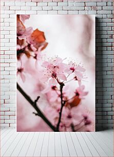 Πίνακας, Cherry Blossom Focus Εστίαση ανθισμένων κερασιών