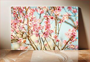 Πίνακας, Cherry Blossom in Bloom Cherry Blossom in Bloom