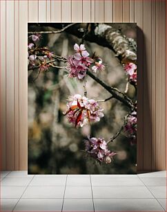 Πίνακας, Cherry Blossom in Spring Άνθη κερασιάς την άνοιξη