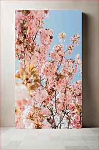 Πίνακας, Cherry Blossom in Spring Άνθη κερασιάς την άνοιξη