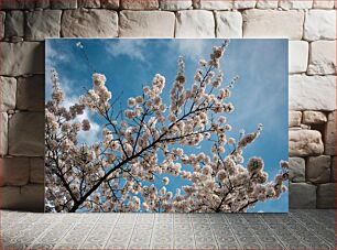 Πίνακας, Cherry Blossom in Spring Άνθη κερασιάς την άνοιξη