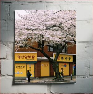 Πίνακας, Cherry Blossom in Urban Area Cherry Blossom σε αστική περιοχή