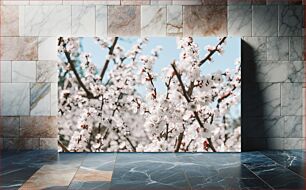 Πίνακας, Cherry Blossom Trees in Bloom Κερασιά ανθισμένα δέντρα