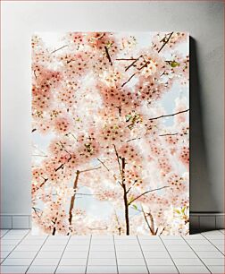 Πίνακας, Cherry Blossom Trees in Bloom Cherry Blossom Trees in Bloom