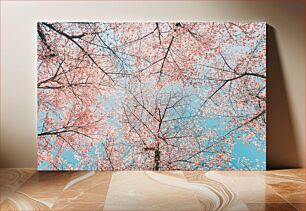 Πίνακας, Cherry Blossom Trees Cherry Blossom Trees