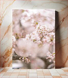 Πίνακας, Cherry Blossoms in Bloom Cherry Blossoms in Bloom