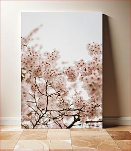 Πίνακας, Cherry Blossoms in Bloom Cherry Blossoms in Bloom