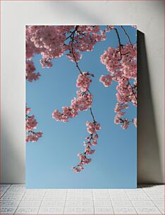 Πίνακας, Cherry Blossoms in Spring Άνθη κερασιάς την άνοιξη