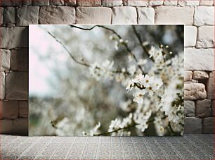 Πίνακας, Cherry Blossoms in Spring Άνθη κερασιάς την άνοιξη