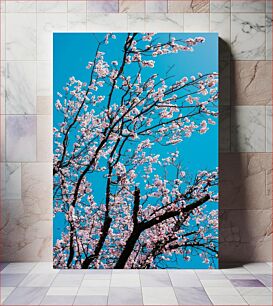 Πίνακας, Cherry Blossoms Άνθη κερασιάς